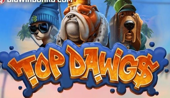 Top Dawg$